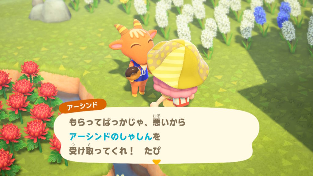 あつ森 アーシンドのしゃしんをもらう