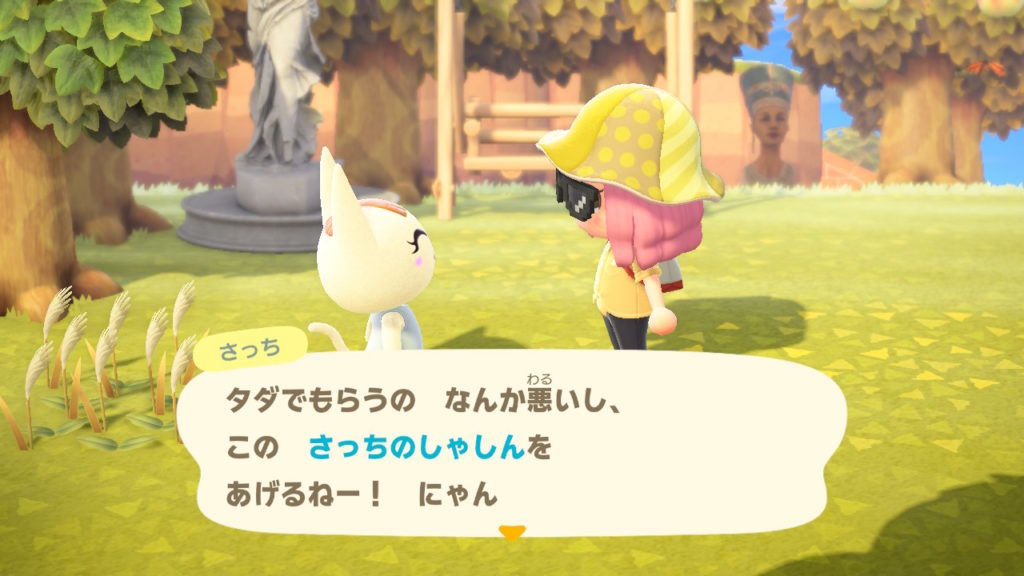 あつ森 さっちからしゃしんを貰う