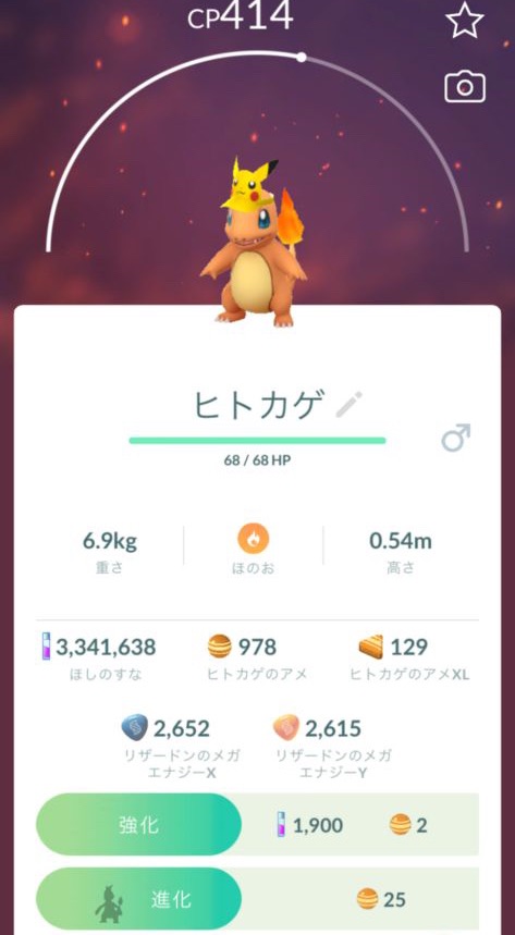 ポケモンGO コスプレ ヒトカゲ